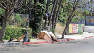 Homelessness